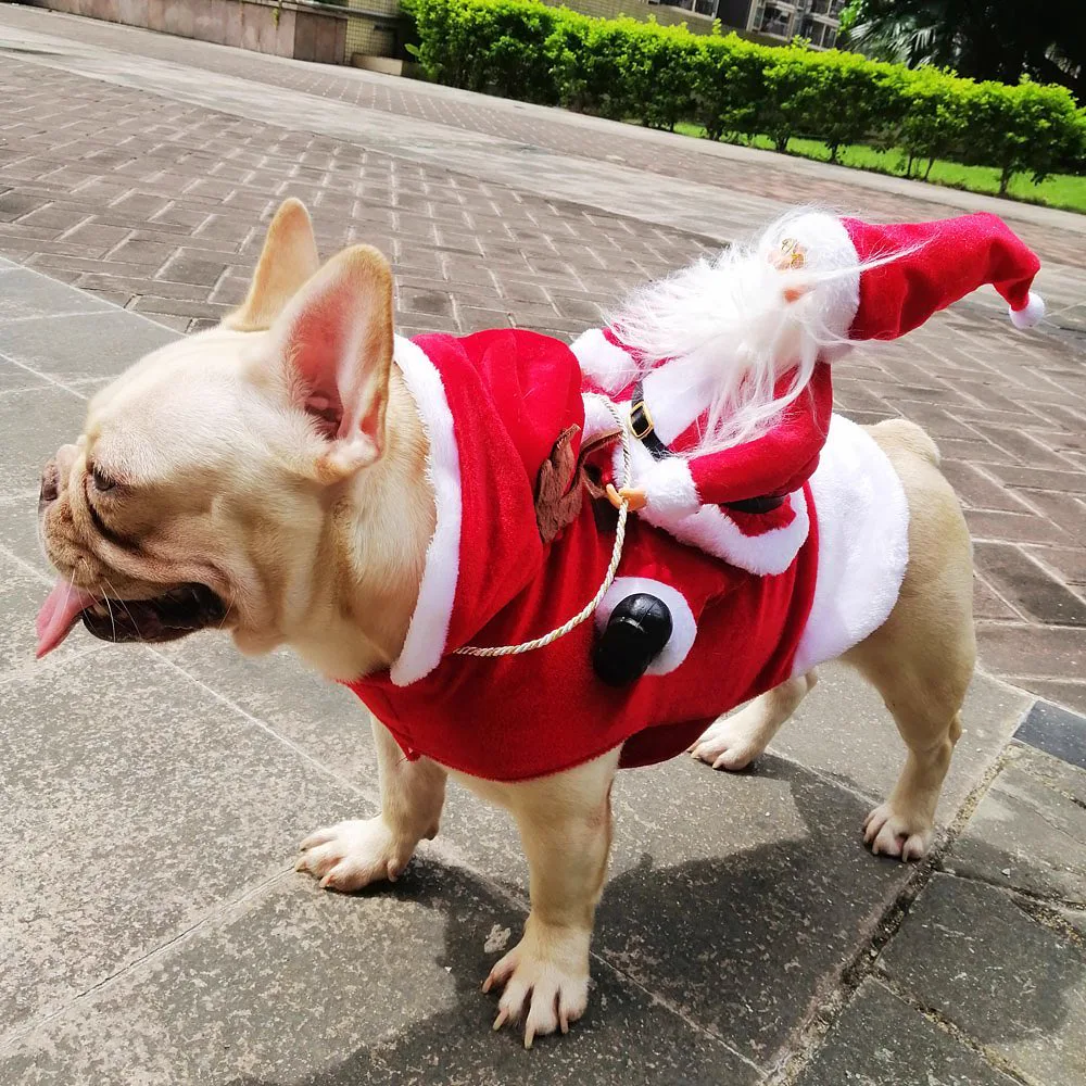 Roupinha de Natal Para Pet - Engraçada e Elegante
