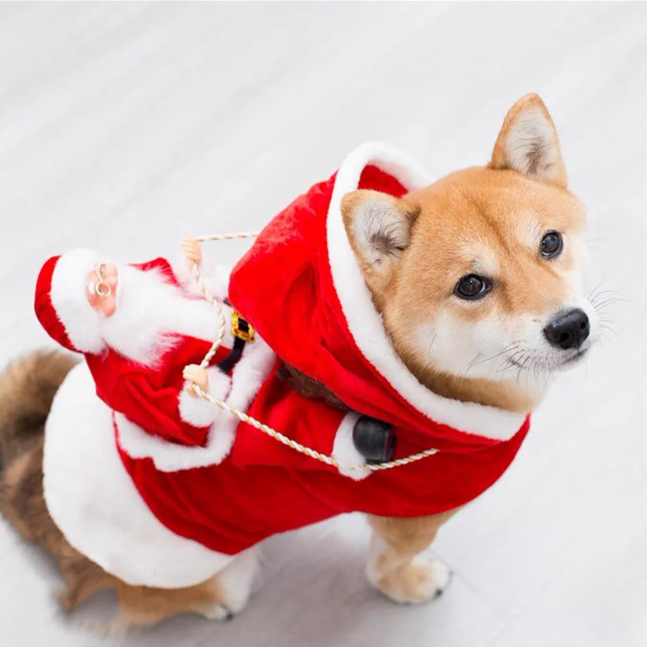 Roupinha de Natal Para Pet - Engraçada e Elegante