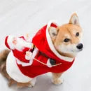 Roupinha de Natal Para Pet - Engraçada e Elegante