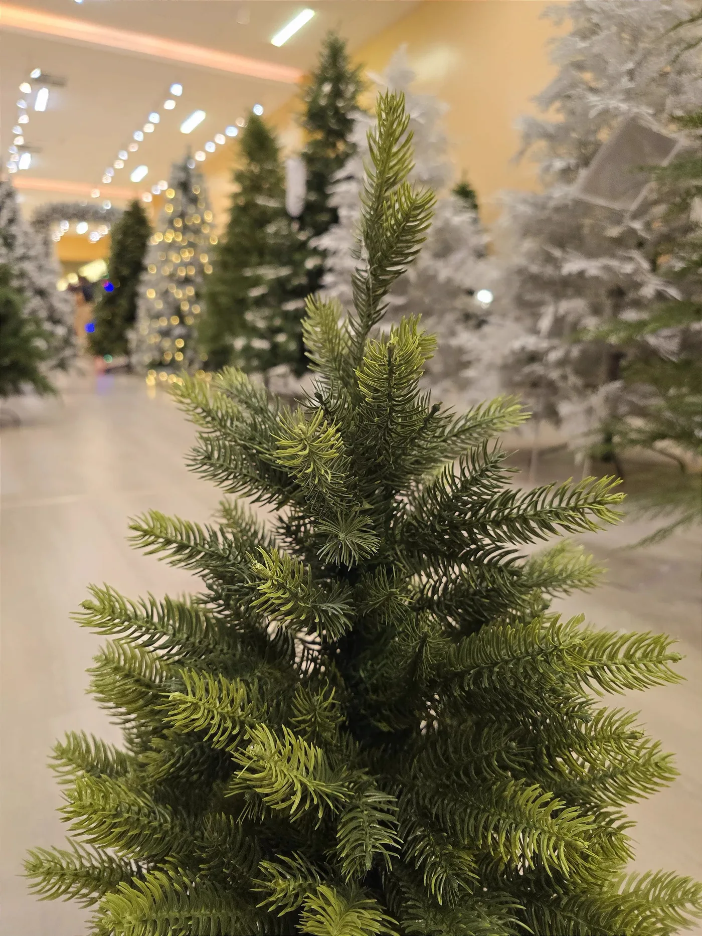 Árvore de Natal Pinheiro Realista 60cm 68 Galhos
